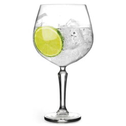 ONIS SPKSY 58 cl Gin & Tonic