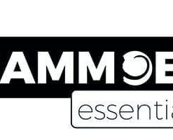 Mammoet Budgetline 22 cl Longdrinkglas Doos 12 stuks