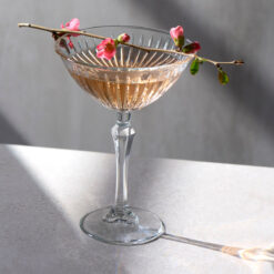 Pasabahce Joy 23 cl Martiniglas Doos 4 Stuks