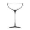 stolzle-kyoto-bar-32-cl-champagne-coupe