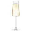 onis-niveau-20-cl-champagneglas