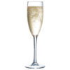 Arcoroc-ARC-L135-Vina-champagne-flute-19-cl